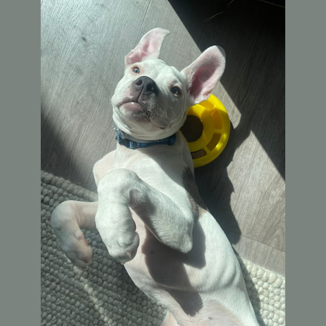 Photo of Jack