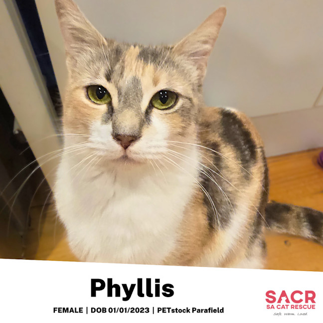 Photo of Phyllis