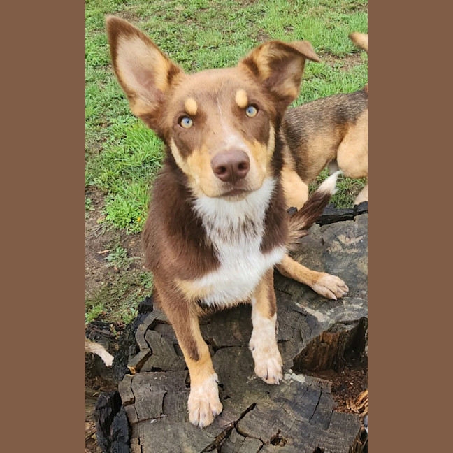 Photo of Sammy
