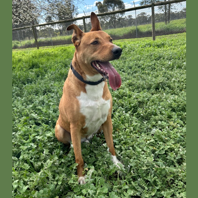 Photo of Duke
