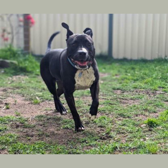 Photo of Bonita