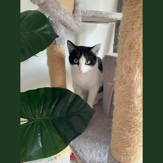 Photo of Lucy 