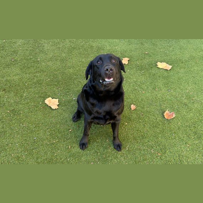 Photo of Molly