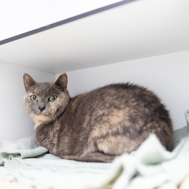 Photo of Lala