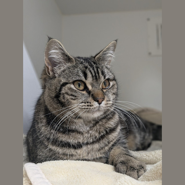 Photo of 🥝 Bindi 5396 🥝