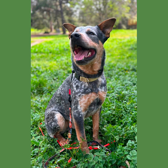 Photo of Wally 