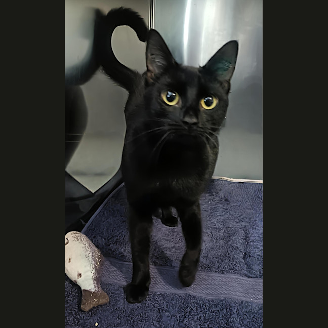 Photo of Stormy