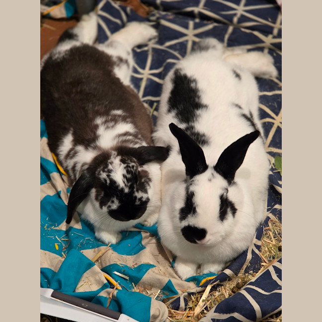 Photo of Andy & Astro