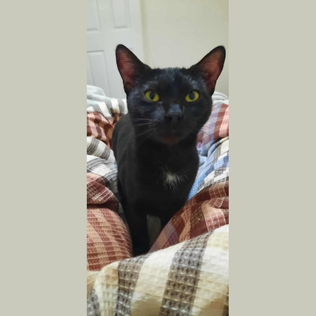 Photo of Georgie (C Mum 3)