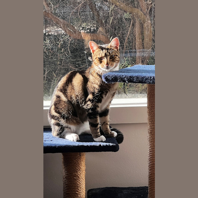 Photo of Marmee 