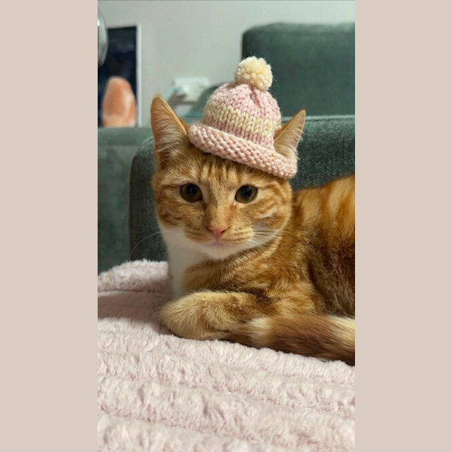 Photo of Bella