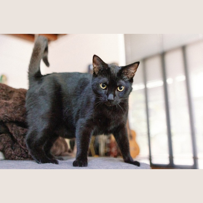 Photo of Percy