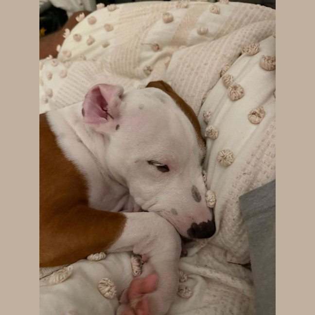 Photo of Cookie Oliver