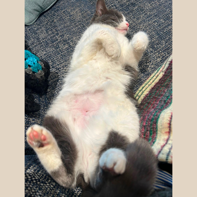 Photo of Penelope