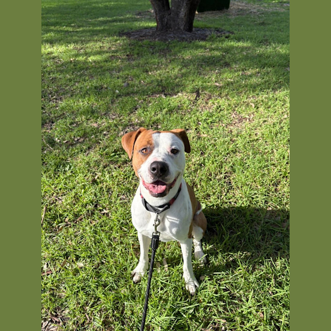 Photo of King