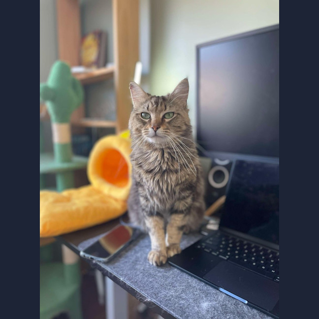 Photo of Winston
