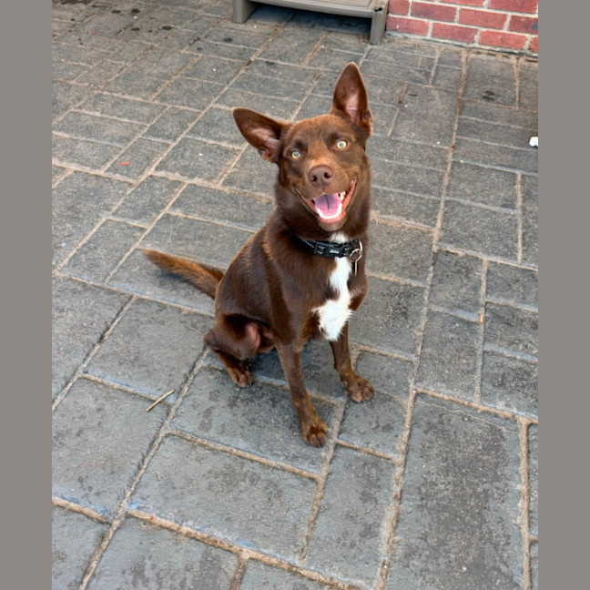 Photo of Max Brenner 🍫 