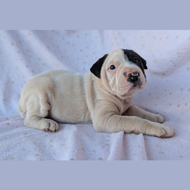 Photo of Blinky