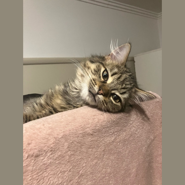 Photo of Kiki