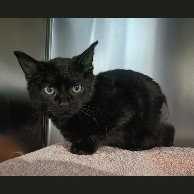 Photo of Dorothy