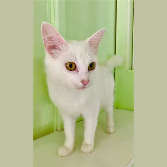 Photo of Cloud