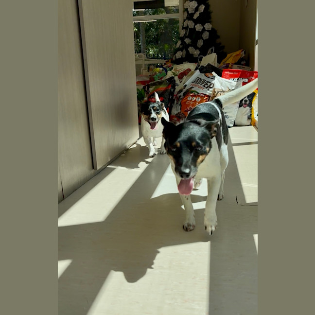 Photo of Jimmy + Sonny