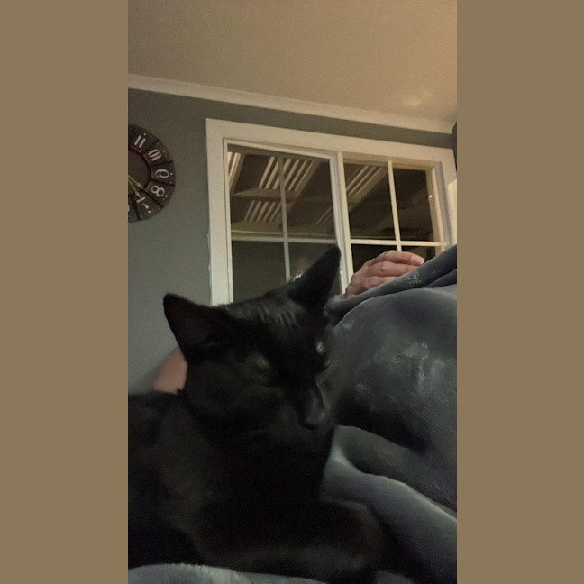 Photo of Pepper