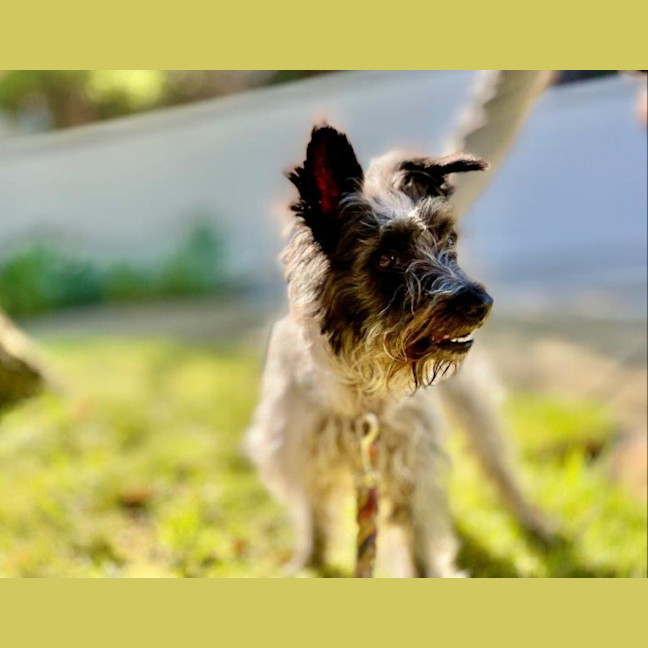 Photo of Truffles O’cleary