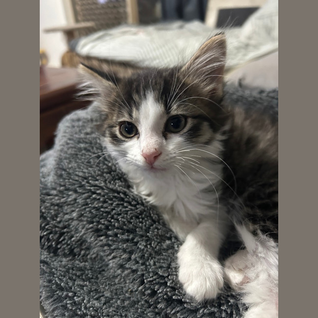 Photo of Morty