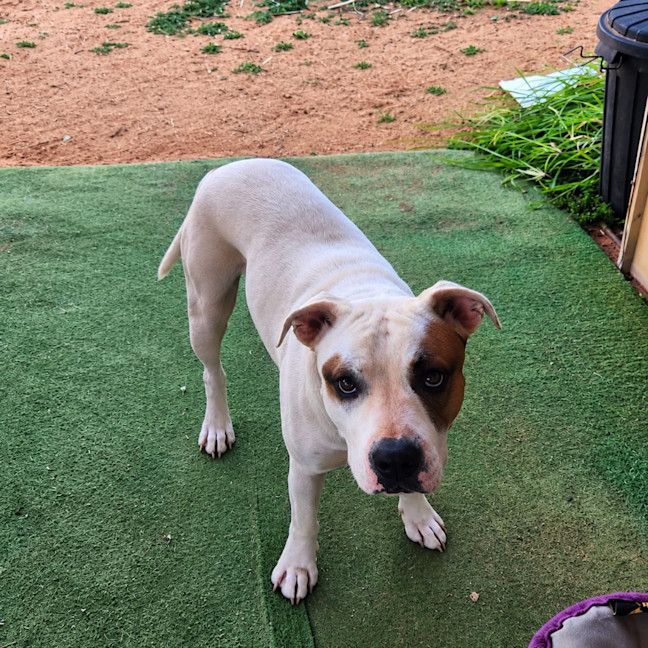 Photo of Missie