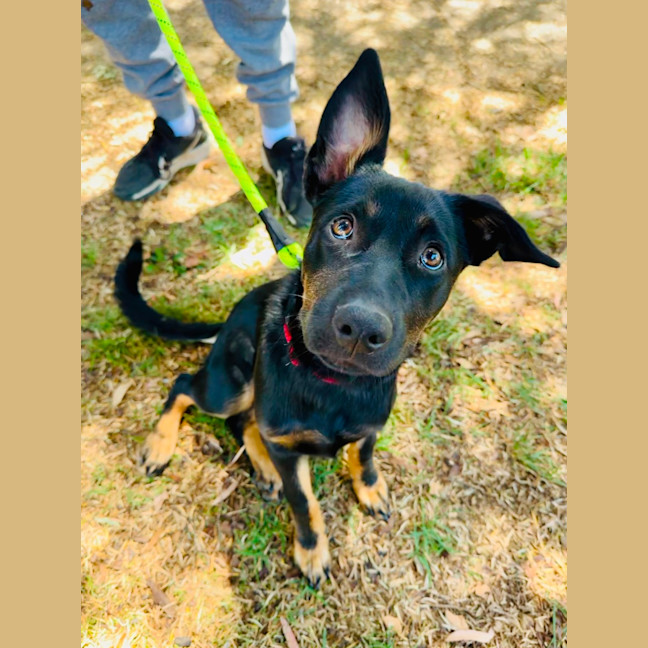 Photo of Bindi