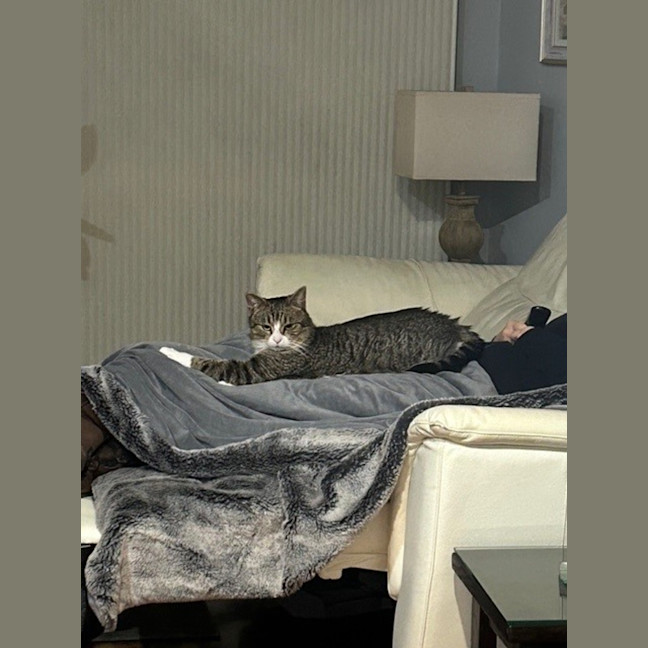 Photo of Reggie