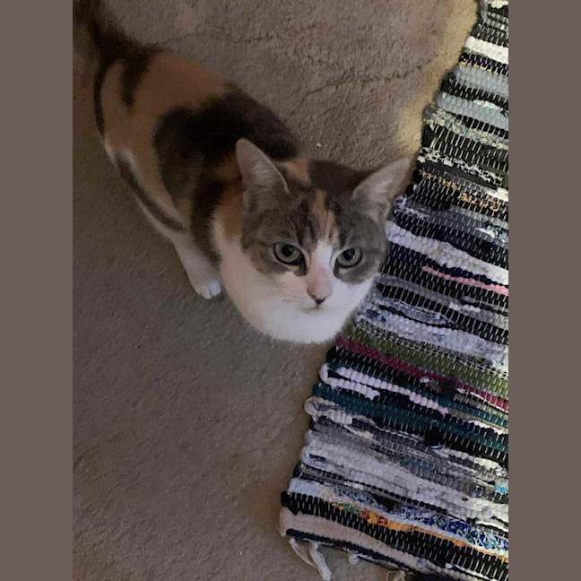 Photo of Jazzi ❤️