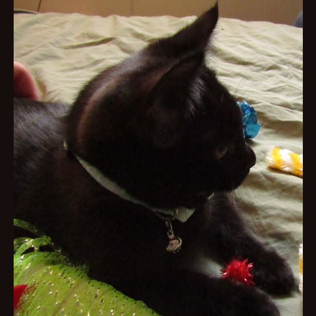 Photo of Truffle 