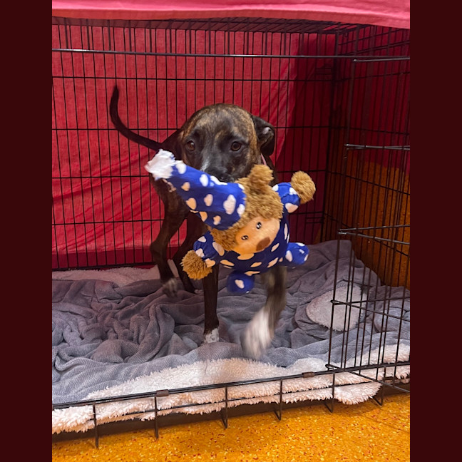 Photo of Winnie