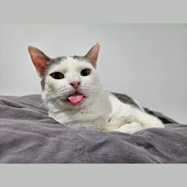 Photo of Mabel