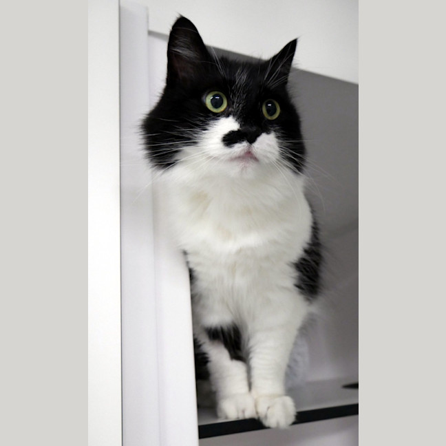 Photo of Marnie Sua014255