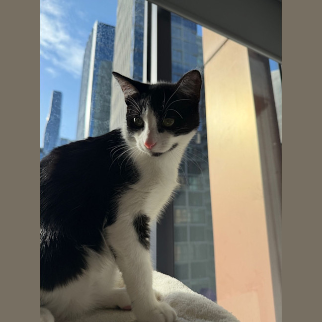 Photo of Felix