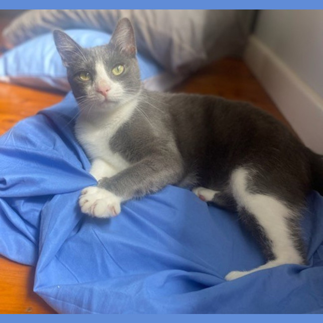 Photo of Storm (9173)