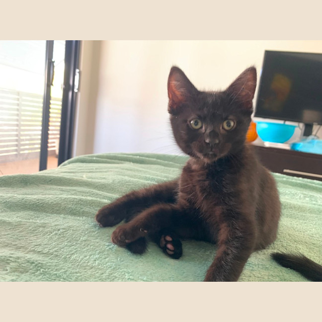 Photo of Olivia