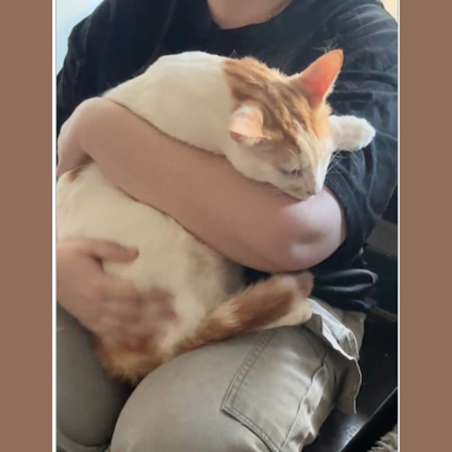 Photo of Luvvy
