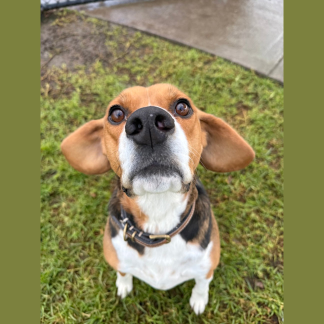 Photo of Sammi