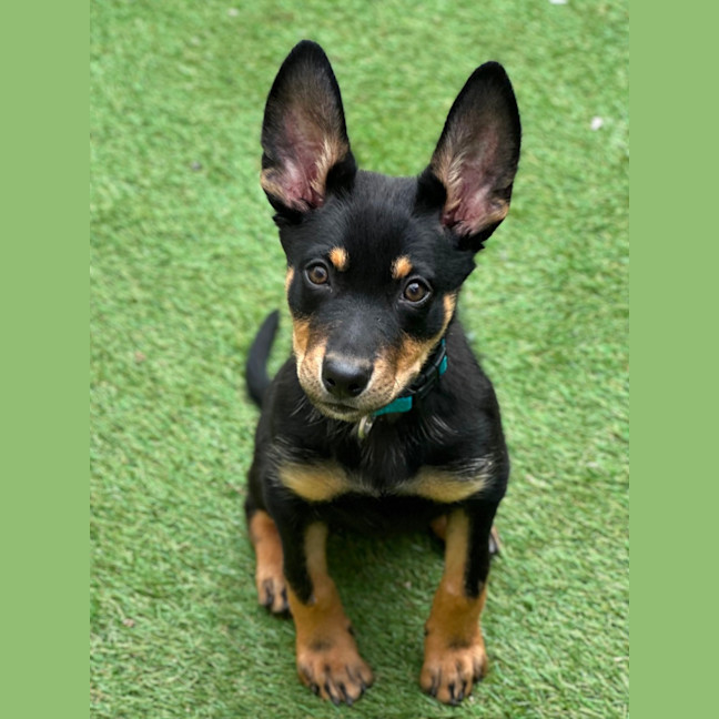 Photo of Timberglades