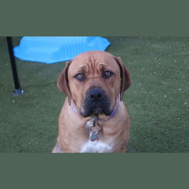 Photo of Gus