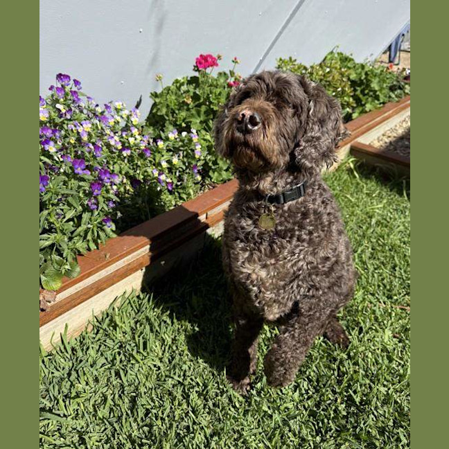 Photo of Bently