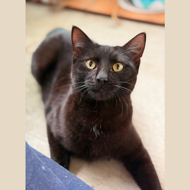 Photo of Remi