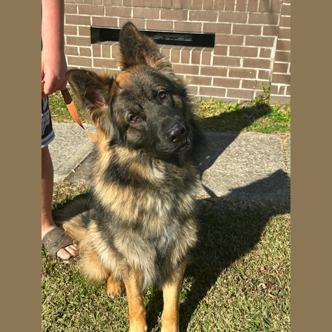 Photo of Tyson