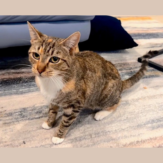 Photo of Nixie
