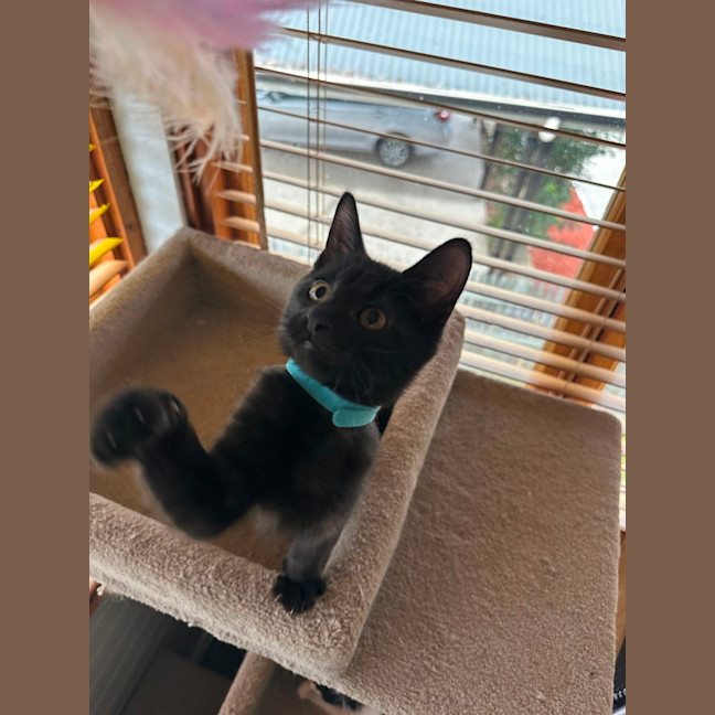 Photo of Pumpkin