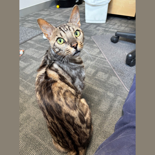 Photo of Monty Rsta012636